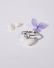 Silver Royalty Zircon Ring