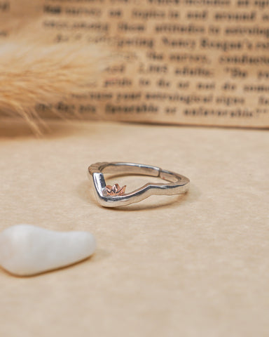 Silver Golden Royalty Ring